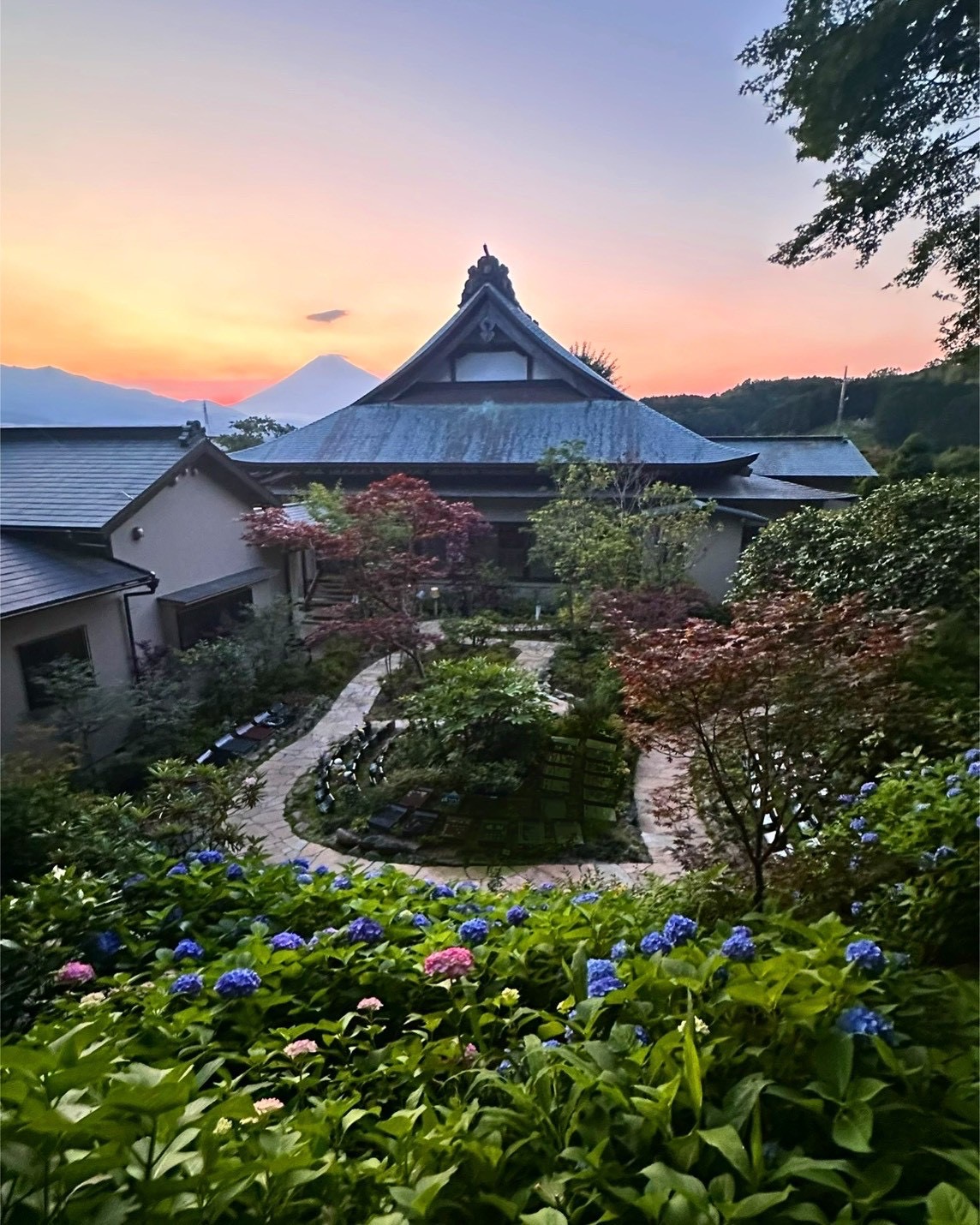 夕暮れの富士山と光明寺、樹木葬